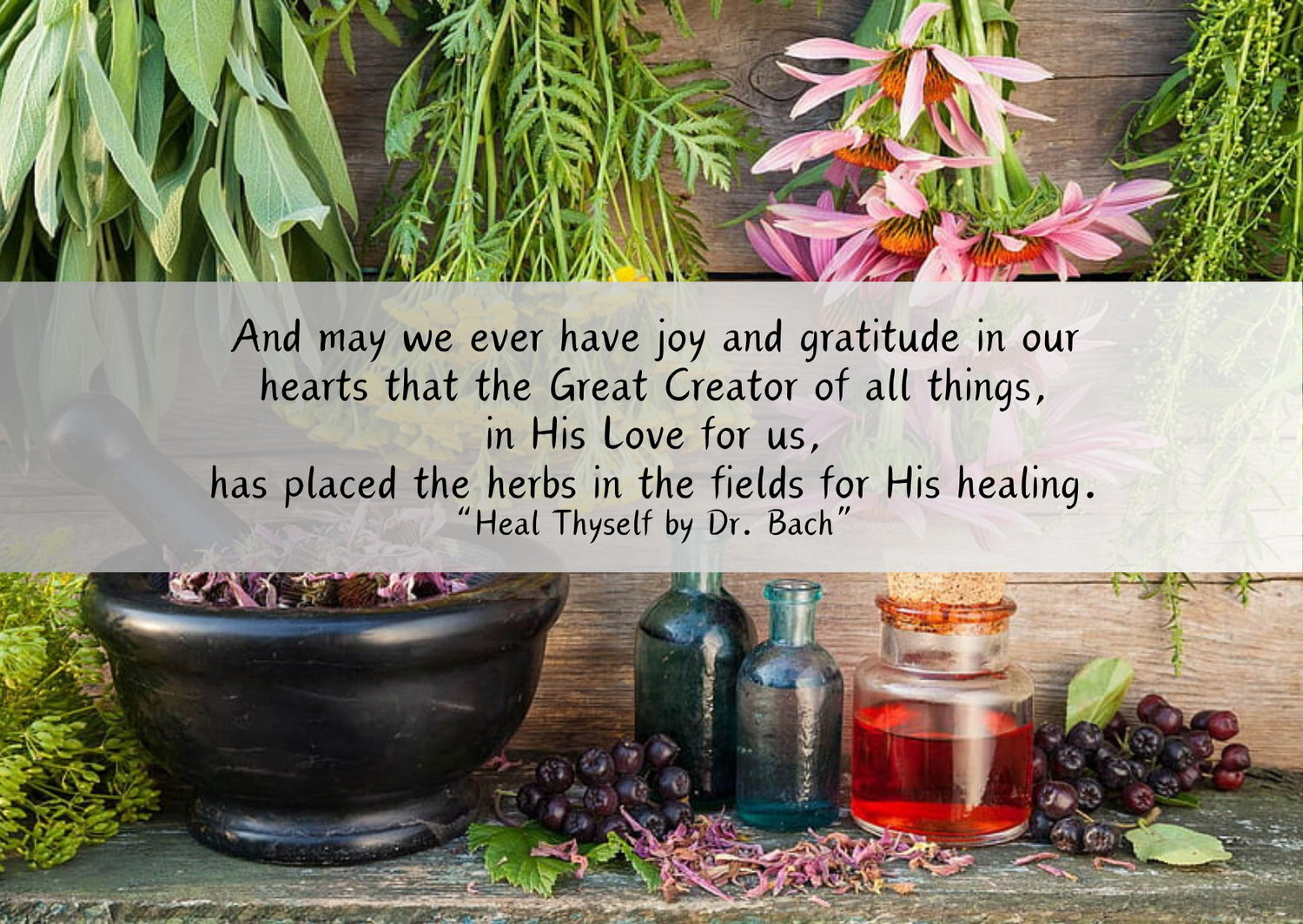 Phyto-Medicine (Healing Herbs)