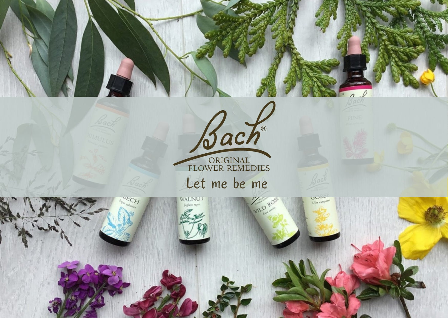 Dr Bach Flower Therapy