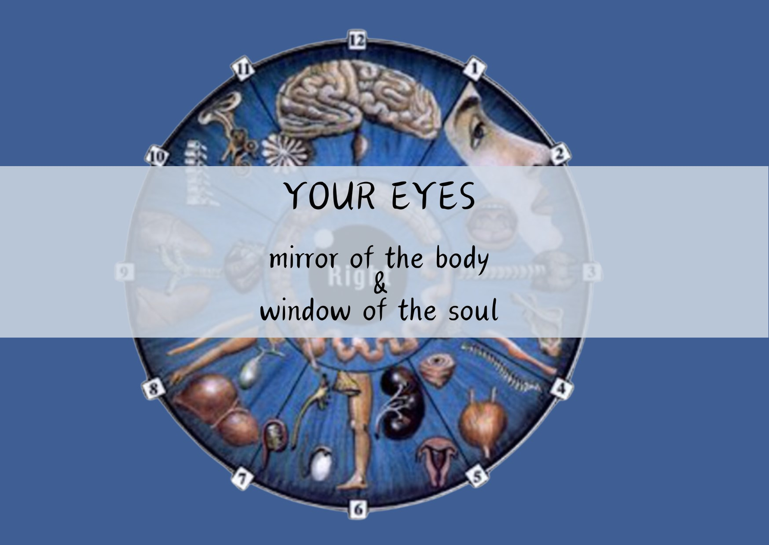 Iridology