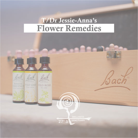 Dr Bach Virtual Telehealth Consultation