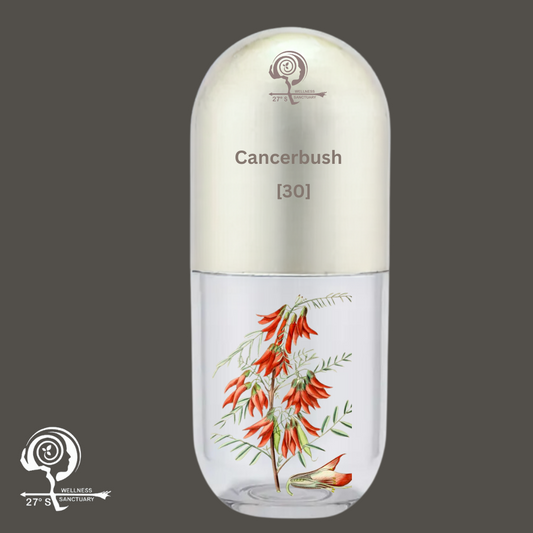 Cancerbush | Sutherlandia Frutescens | Kankerbos Capsules x 30
