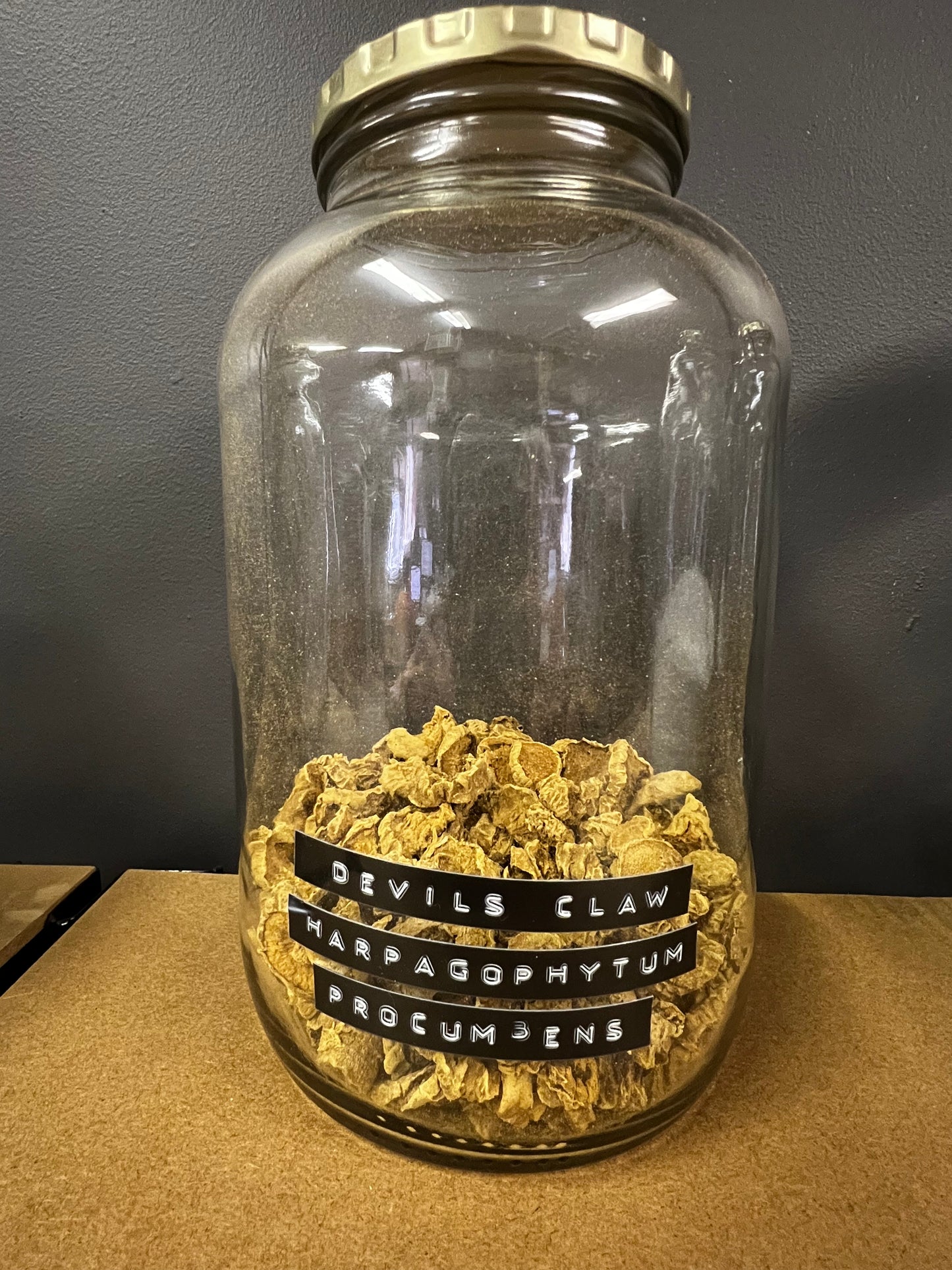 Devil’s Claw | Harpagophytum procumbens | Duiwelsklou Capsules x 30