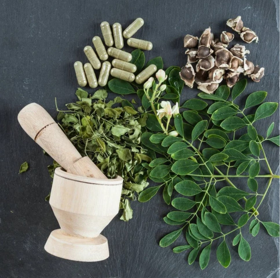 Moringa | Moringa oleifera | Sprokiesboom Capsules x 30