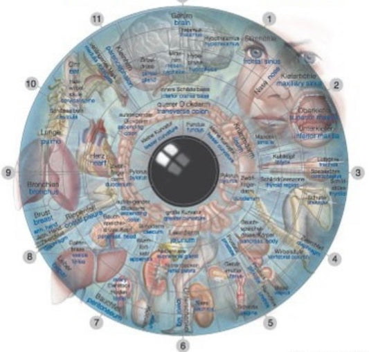 Iridology Assessment Consultation with supportive Phyto-Medicine (herbal) protocol.